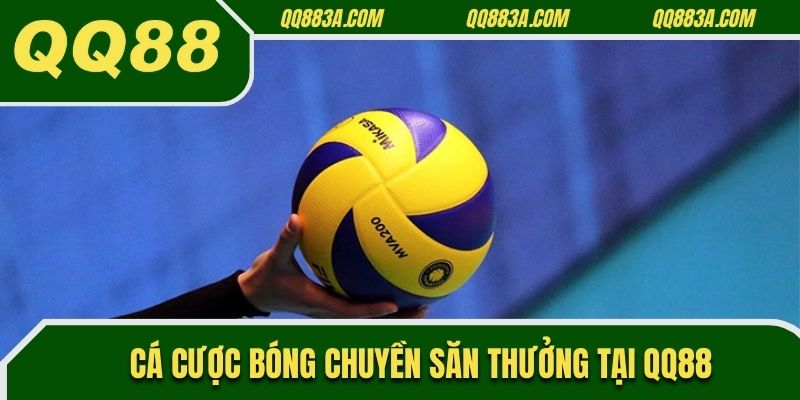 Cá cược bóng chuyền
